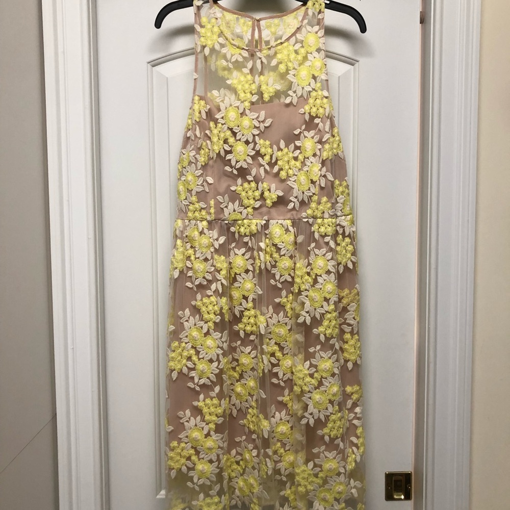 Tea length lace dress